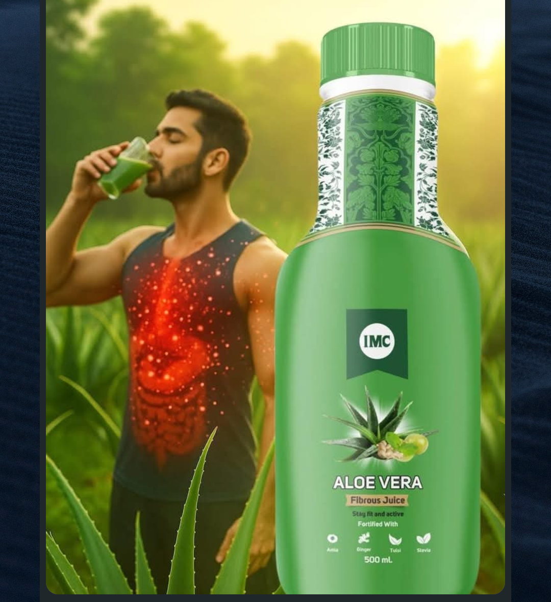 Aloe Vera Fibrous Juice - Dokets Shop