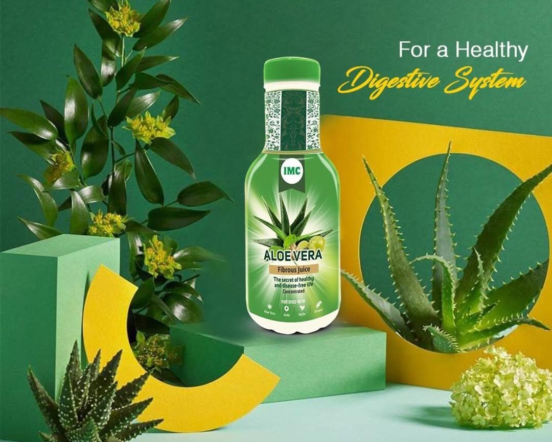 Aloe Vera Fibrous Juice - Dokets Shop