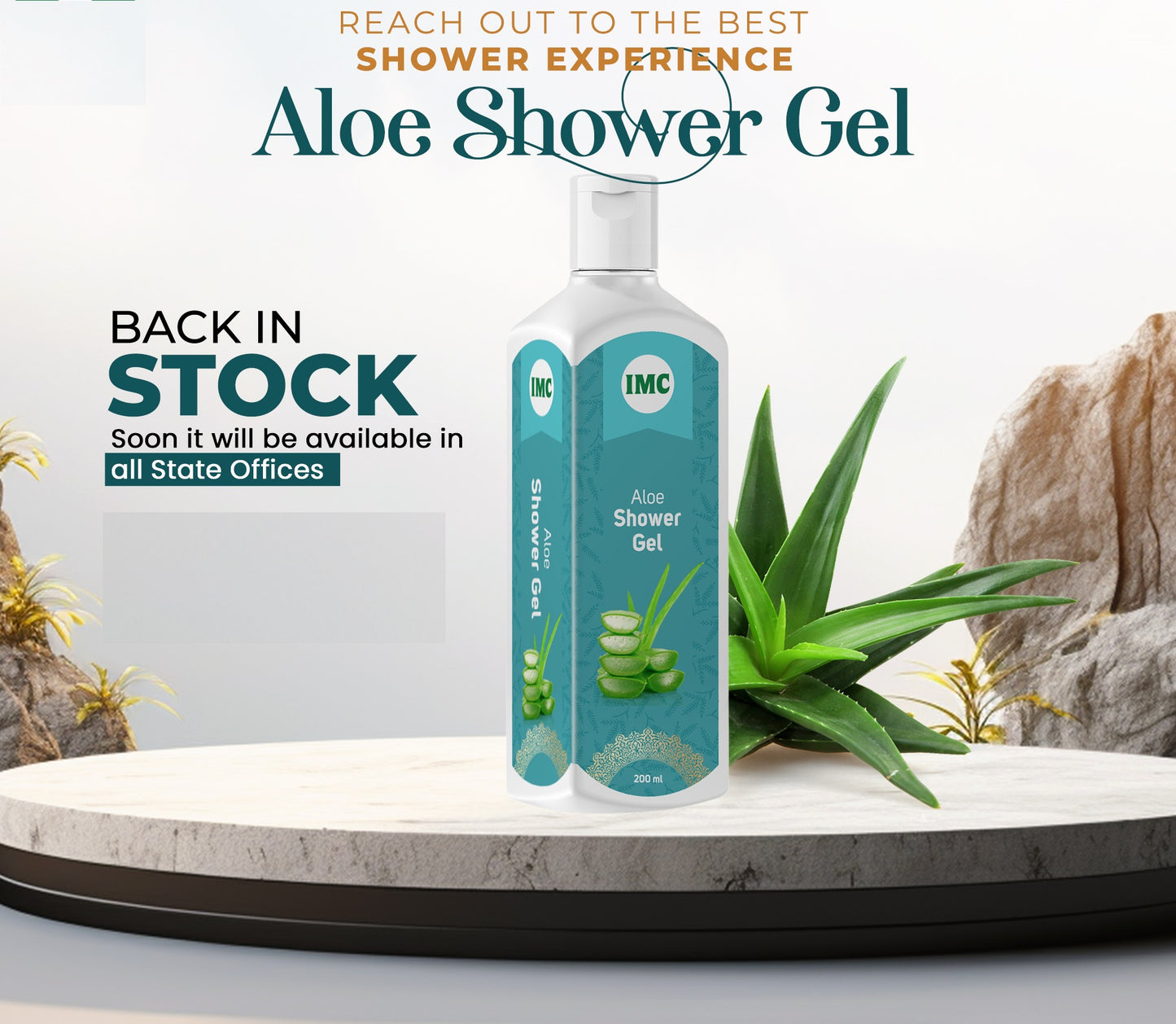 Aloe Shower Gel (200 ml) - Dokets Shop