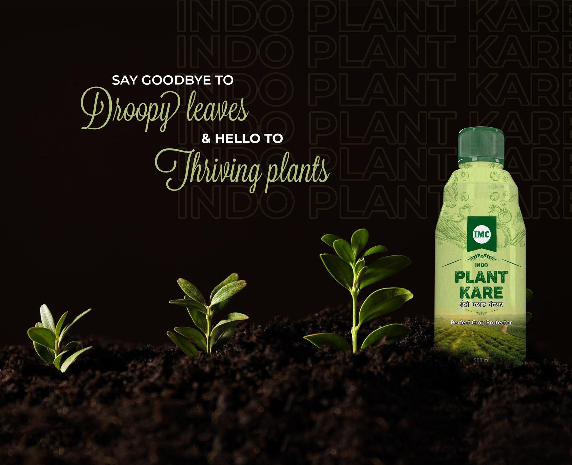 Seed, Plant & Flower Kare (500 ml each) - Dokets Shop