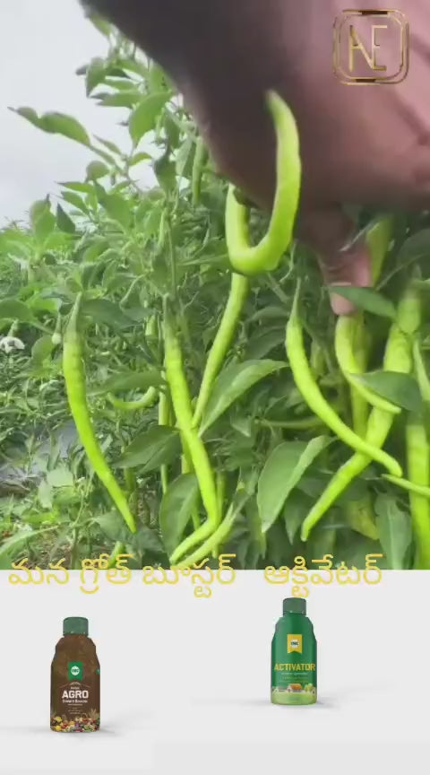 Herbal Agro Growth Booster