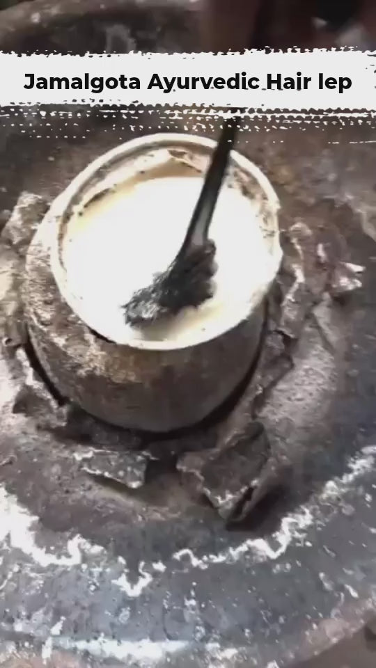 Jamalgota Ayurvedic Hair Growth Powder 100gm Each Pack of 2 : DRC