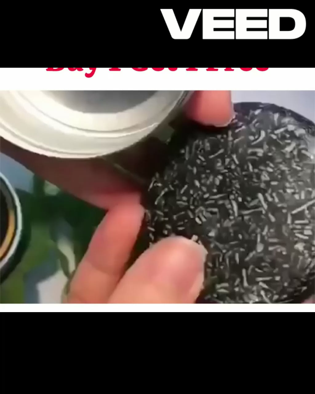 Organic Grey Reverse Shampoo Bar-Natural Organic Conditioner (Pack of 2) : DRC