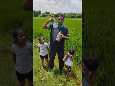 Seed, Plant & Flower Kare (500 ml each)