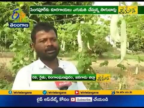 Herbal Agro Growth Booster