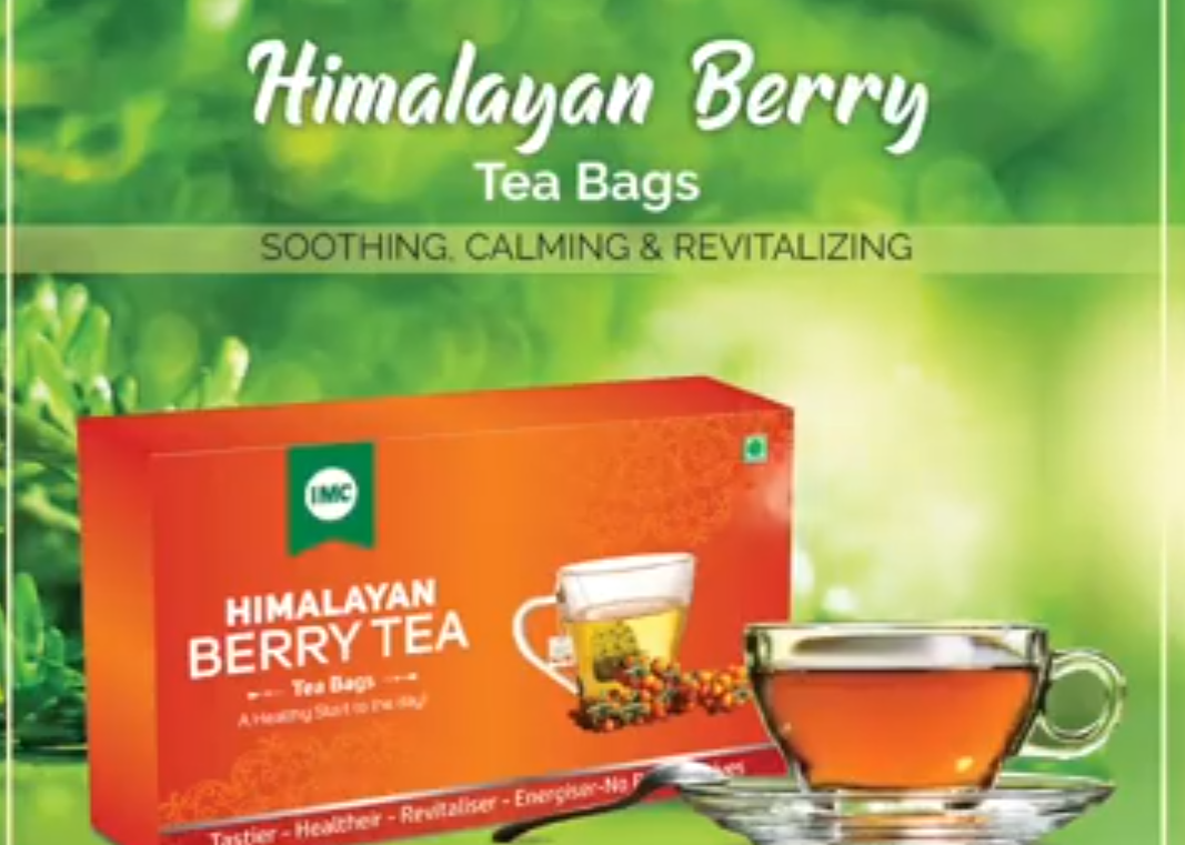 Green Tea With Himalayan Berry & Herbs